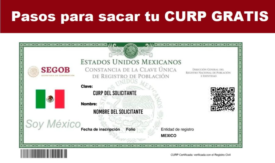 Consulta y Descarga tu CURP Rápidamente desde Casa